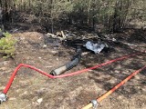 Powiat makowski: pożary lasów i traw. Palił się także tartak w Głażewie-Święszkach