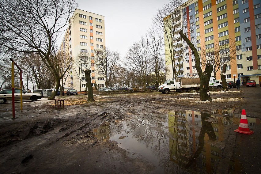 Drzewa padają, rosną parkingi