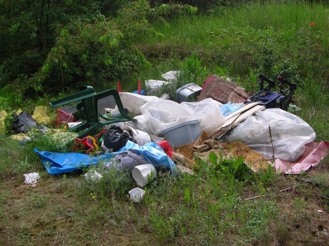 Zasypany śmieciami las w Miciogoździe w gminie Piekoszów.