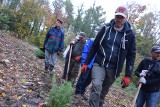 Eko - pamiątka po uroczystościach. W Głuchołazach posadzono Las 800-lecia Miasta. 