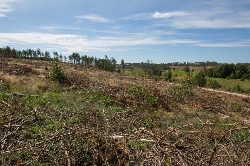 Pierwsza rocznica nawałnicy na Pomorzu. Dom mamy nowy, ale weź to wszystko przeżyj