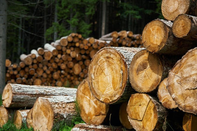 Ceny drewna opałowego są coraz wyższe. Czy tego surowca może zabraknąć?