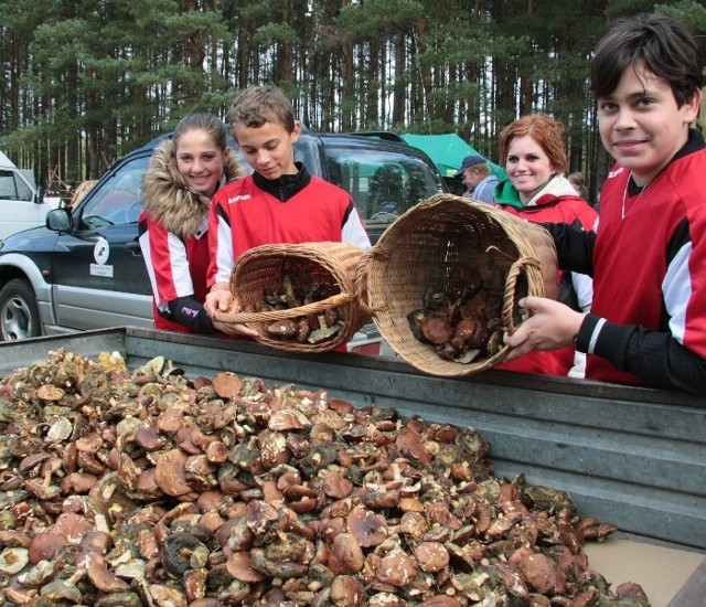 Międzychodzianie Sandra Adamczak, Wojciech Kowalski, Justyna Giera i Jakub Pawlak z Gimnazjum nr 2 zebrali 9,5 kg grzybów i zajęli drugie miejsce w gimnazjadzie.