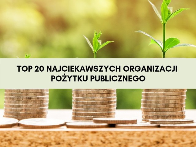 1% podatku. Na co przekazać? 20 najciekawszych organizacji pożytku publicznego, na które możesz przekazać swój 1 procent podatku.