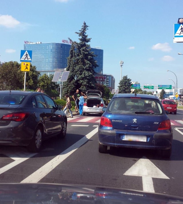 Na ulicy Cieplińskiego w centrum Rzeszowa prawdopodobnie doszło do potrącenia - napisał kilkanaście minut temu nasz Czytelnik. - Lewy pas jezdni, w kierunku hotelu Rzeszów, jest nieprzejezdny.Aktualizacja, godz. 16.40:Przed chwilą dowiedzieliśmy się od policjantów, że była to tylko kolizja i nikomu nic się nie stało.