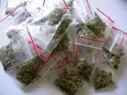 W sumie policjanci  zarekwirowali  prawie 31 gramów marihuany. Poza tym przejęli wagę elektroniczną.