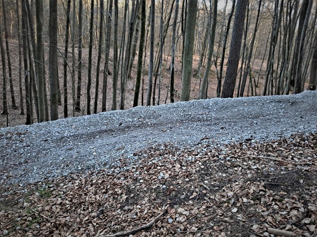 Dziś w wielu miejscach single track na koszalińskiej Górze Chełmskiej nadaje się już tylko do gruntownej naprawy