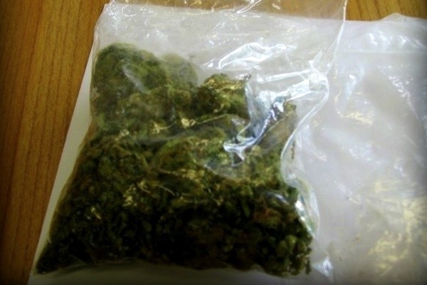 Kryminalni znaleźli u 20-latka z Nysy 20 gramów marihuany.