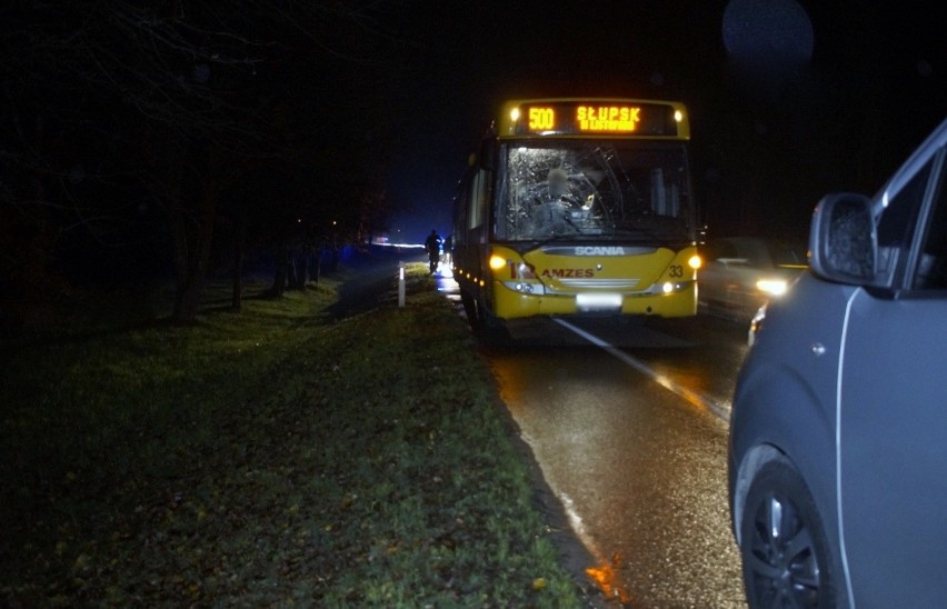 51-letni kierowca autobusu jadąc w kierunku Słupska potrącił...