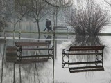 Mogilno. Burmistrz przekonuje, że taniej nie da się uporządkować miejskiego parku 