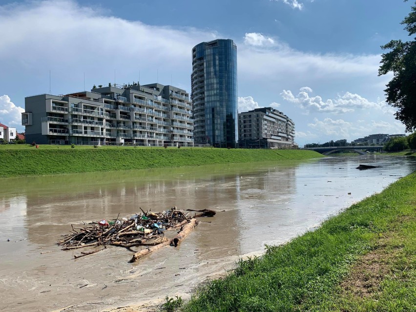 Po ulewach Wisłokiem w Rzeszowie płynie mnóstwo nieczystości. Butelki plastikowe, powalone konary, połamane gałęzie [ZDJĘCIA]