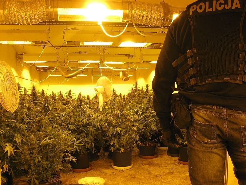 Policja aresztowała dilerów narkotyków.