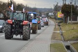 Region. Protest rolników w Małopolsce, ciągniki przejechały z Niepołomic przez Nowe Brzesko, Koszyce, Brzesko i Bochnię [ZDJĘCIA]