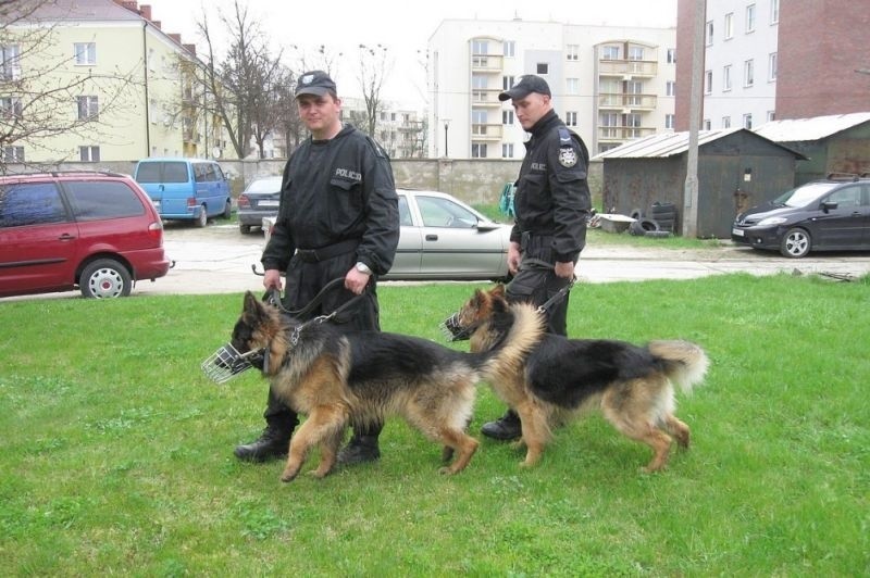 Nowe policyjne psy w komendzie