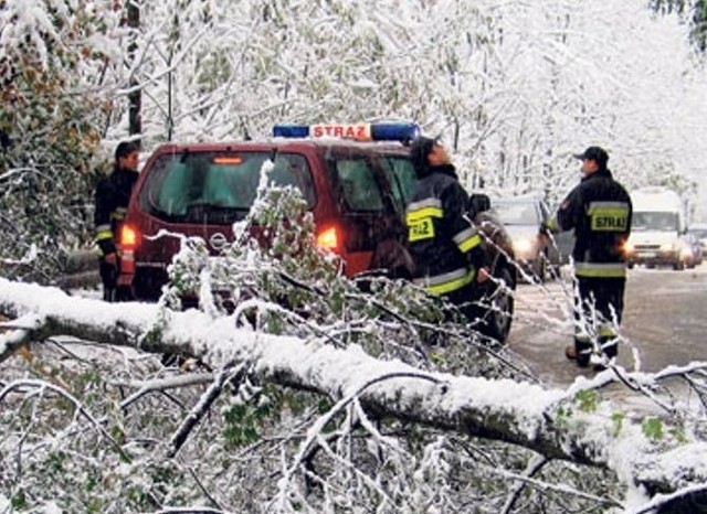 Połamane drzewo blokuje drogę przez Przełęcz Salmopolską