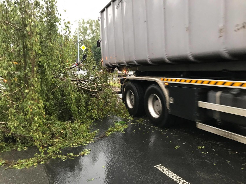 Burza w Łodzi. Nawałnica nad Łodzią. Powalone drzewa, gałęzie na drogach, zalane ulice [ZDJĘCIA]