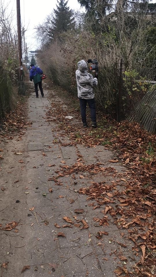 Stowarzyszenie Mieszkańców Abisynii zorganizowało akcję porządkową na swoim osiedlu. Zakasali rękawy i wzięli się za sprzątanie ul. Miecznikowskiej i skweru przy Podkomorskiej/Kasztelańskiej.