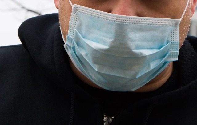 Świńska grypa wystąpiła już w Hajnówce