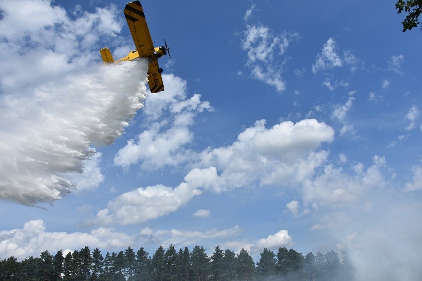 Skarżyscy strażacy ćwiczyli walkę z pożarem lasu. Był nawet samolot (ZJĘCIA)