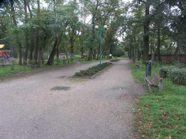 Do zdarzenia doszło w Parku Miejskim w Gnieźnie.