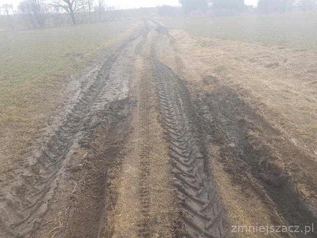 Czytelnik ma rację. Wjechać autem osobowym strach, a znaku: tylko dla traktorów nie ma...