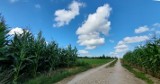 V Bieg Rolnika. Gospodarze pobiegną po trasach w gminie Łopuszno. Trwają  zapisy 