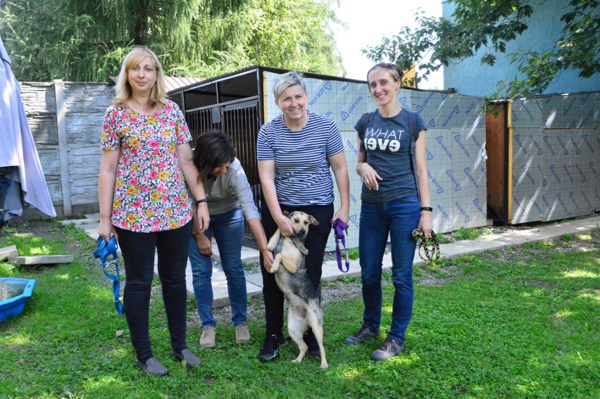 W Myślenicach powstała Sierściuchowa Przystań [ZDJĘCIA]