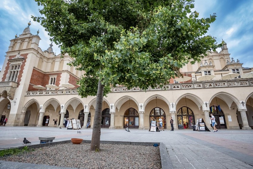 Rynek Główny