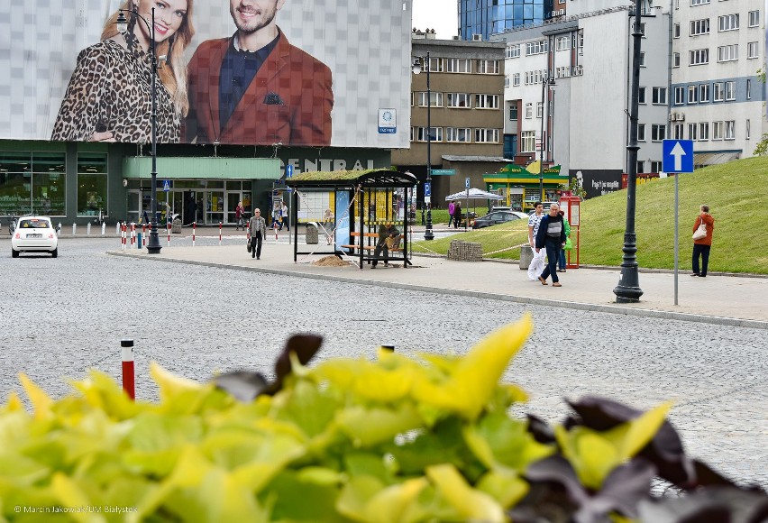 Białystok. W centrum miasta montują zielone przystanki (zdjęcia)