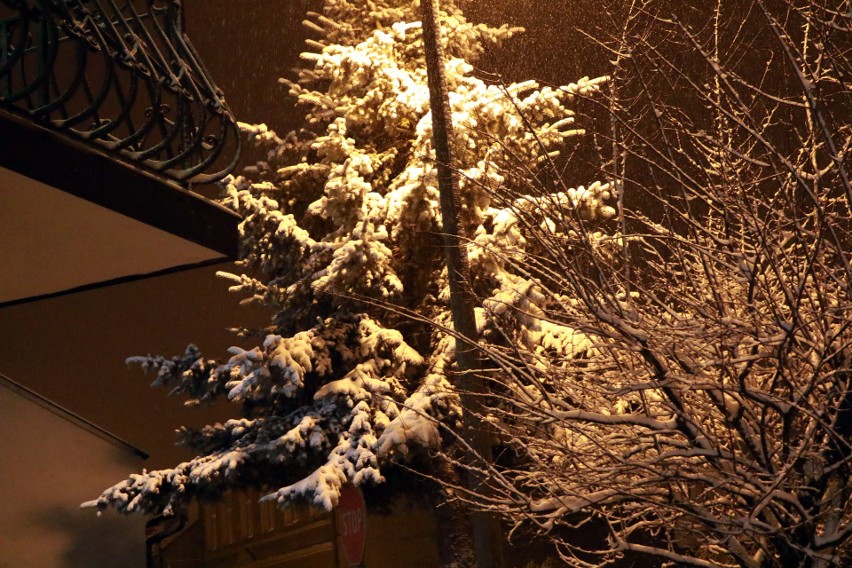 Zimowa noc na ulicach Nowego Sącza [ZDJĘCIA]