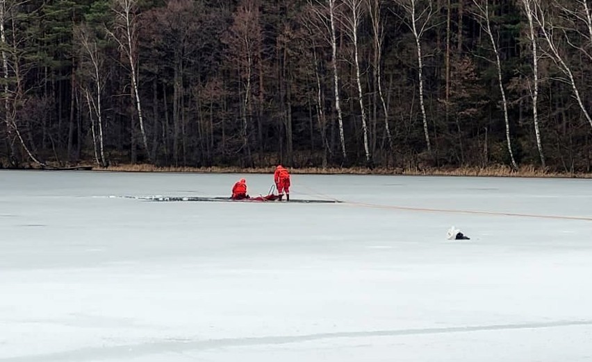 Tragedia na jeziorze Brzeźno 18.03.2021. Pod wędkarzem załamał się lód. Strażacy wyłowili jego ciało