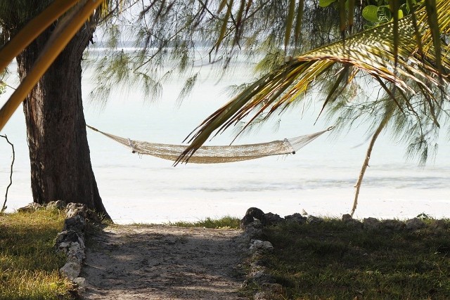 Pół roku pracy na Zanzibarze. To brzmi nieźle