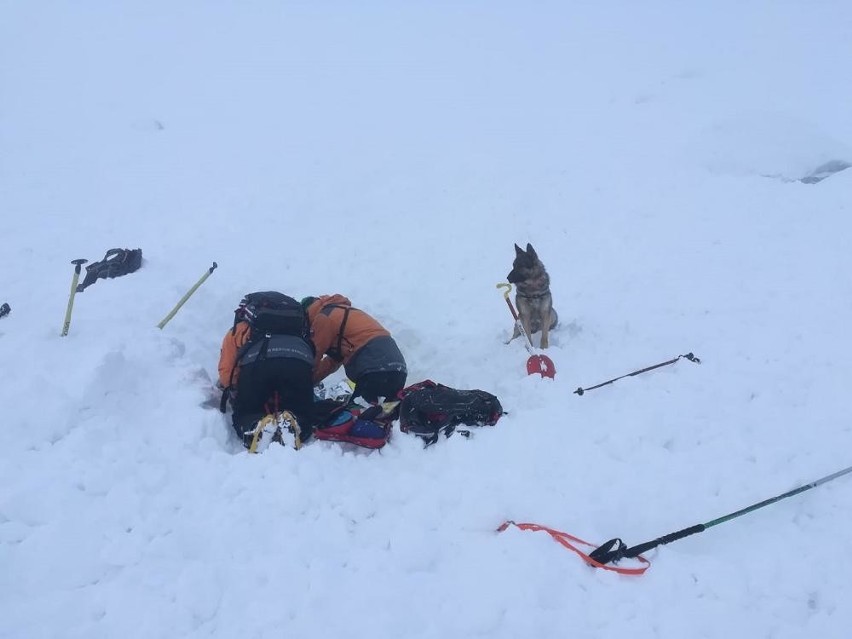 Niżne Tatry. Lawina porwała dwóch skiroutowców, jeden nie żyje [ZDJĘCIA]