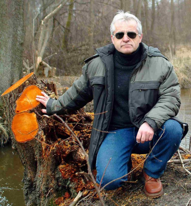 Jeszcze niedawno rosły tu olchy. Teraz na odcinku ok. pięciu kilometrów wzdłuż rzeki Mogilicy pod Rąbinem z ziemi wystają tylko pnie. - Nie wiem, jak można było do tego dopuścić. To katastrofa ekologiczna - oburza się Zdzisław Grzelak, który o wycince zawiadomił policję.