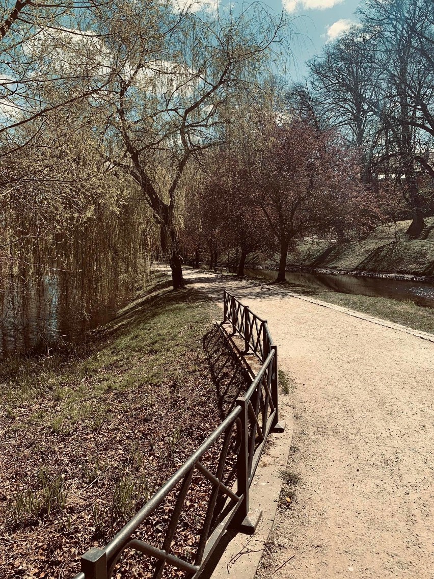 Piękny park w Koszalinie w czasie koronawirusa na zdjęciach Internautki