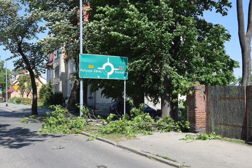 Drzewa padają na ulicy Koszalińskiej (zdjęcia)