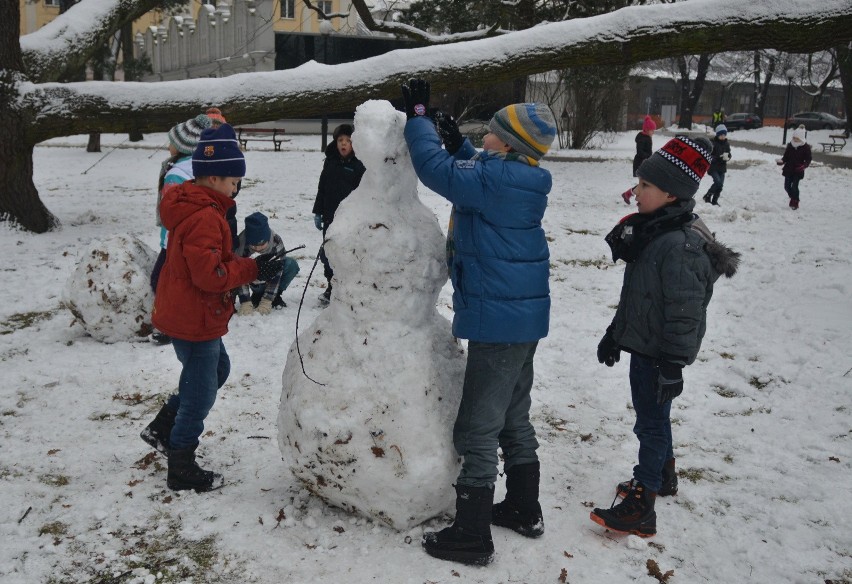 Pogoda Łódź. Zima nie przyjdzie do końca roku