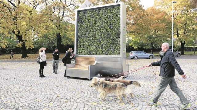 Pierwsza instalacja z mchem, który będzie pochłaniał zanieczyszczenia ma stanąć w Krakowie już na wiosnę