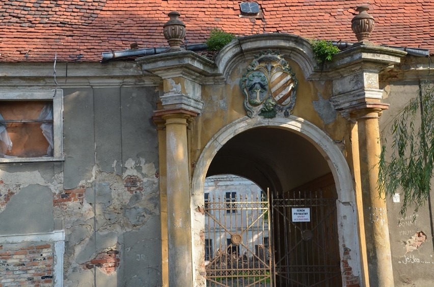 Celebryta i detektyw Krzysztof Rudkowski zakochał się w Szczepowie