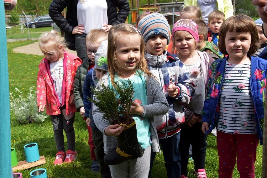 Ogród 5 zmysłów powstaje obok przedszkola w Sękowej. Dzieci z rodzicami budowały zielone taborety, sadziły zioła i kwiaty, robiły karmniki 