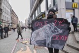 Protest w obronie dzików w Poznaniu. Sprzeciwiają się depopulacji tych zwierząt. „Dajcie żyć dzikom”. Zobacz zdjęcia z pikiety!