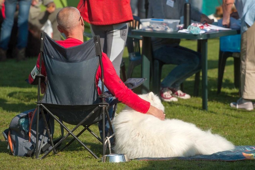 Wystawa Psów Darłowo.