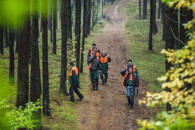 Pracownicy w lasach przez cały rok maja dużo pracy. Raz liczą dziki, innym razem walczą ze szkodnikami