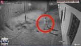 Policja szuka wandala, który zniszczył elewację zabytku przy Podmurnej w Toruniu [wideo]