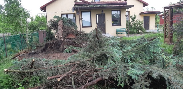 Ogromne spustoszenie przyniosła niedzielna nawałnica w całym naszym regionie. Największe straty szacuje Korytnica w gminie Sobków.