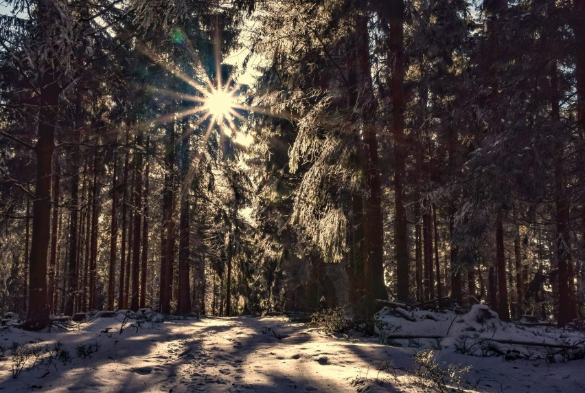 Zima wróciła w Beskidy. Trudne warunki na szlakach. Szaleje...