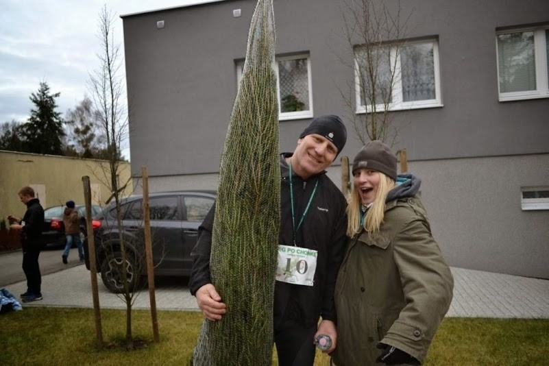 Bieg po choinkę 2014. W Lublińcu po drzewka pobiegło 340...