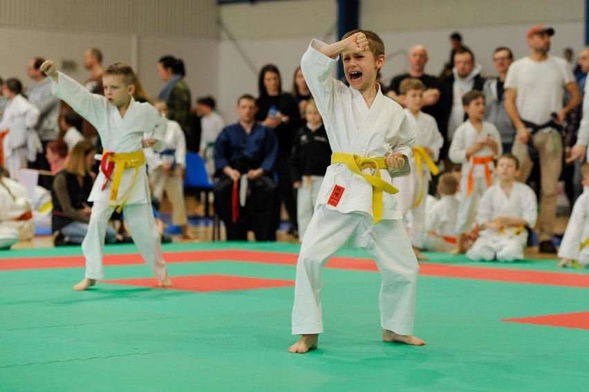 Trzy tuziny medali krakowskich karateków