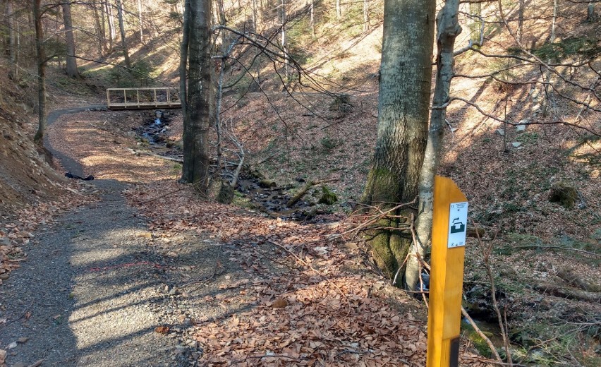 W okolicy Cisnej w Bieszczadach powstała nowa trasa rowerowa. Singletrack ma długość 13 kilometrów [ZDJĘCIA]