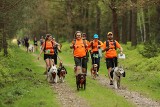 Lubliniec: Puchar Polski w Dogtrekkingu: 400 uczestników, 3 trasy i niezapomniane emocje